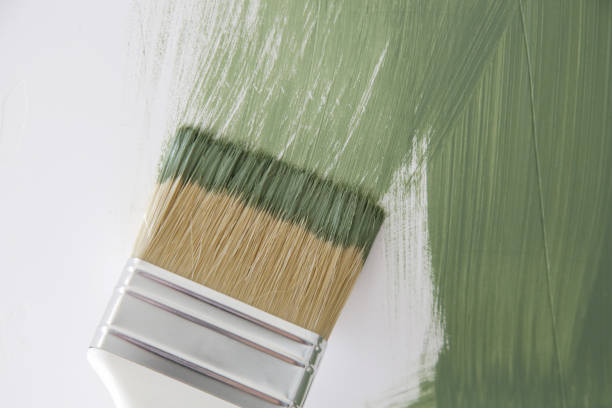 Mold Odor Removal Services in Beverly Hills, CA