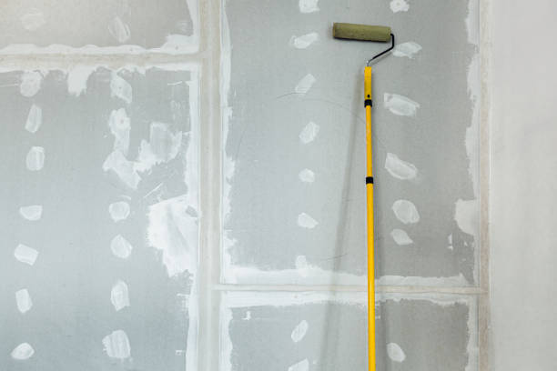 Trusted Beverly Hills, CA Mold Removal Experts